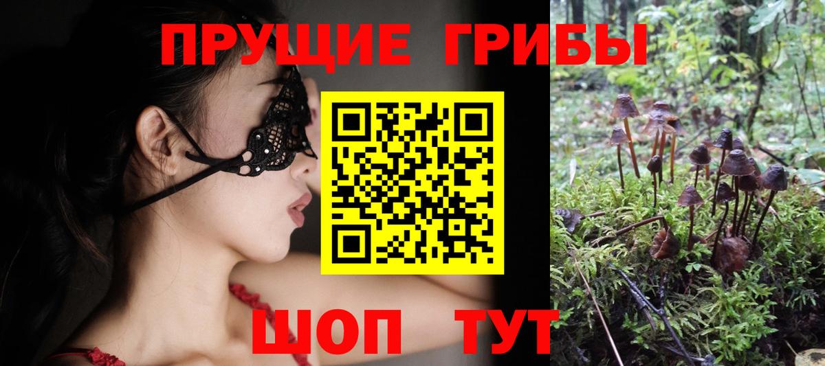 Благовещенск  Псилоцибиновые грибы мухоморы  Вход с VPN 